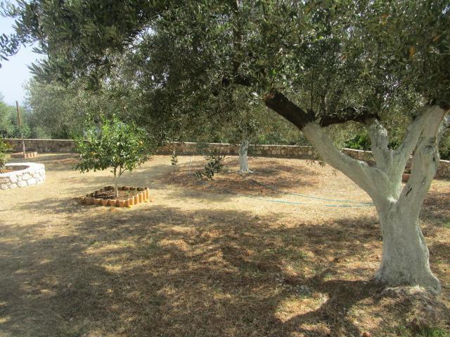 Apsedes Studios Τραπεζάκι Εξωτερικό φωτογραφία