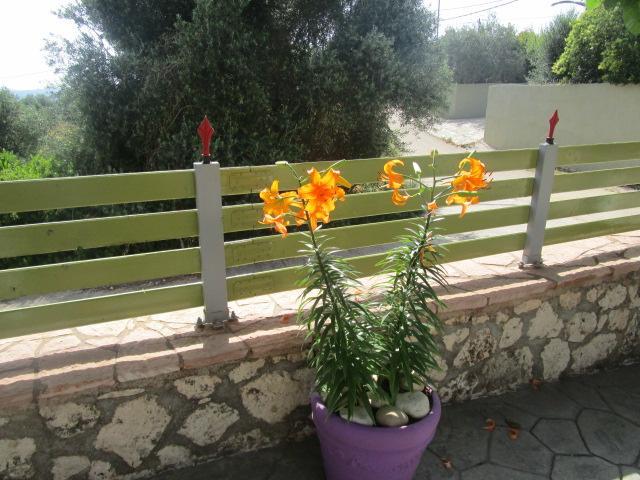Apsedes Studios Τραπεζάκι Εξωτερικό φωτογραφία